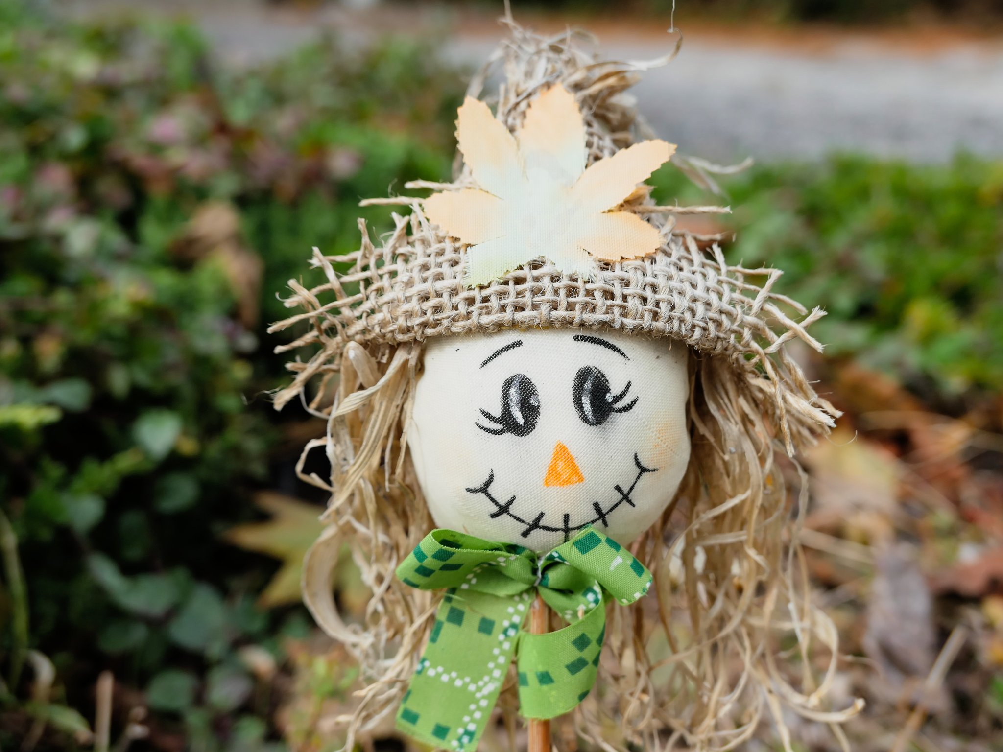 Image of Rooksdown Scarecrow Trail