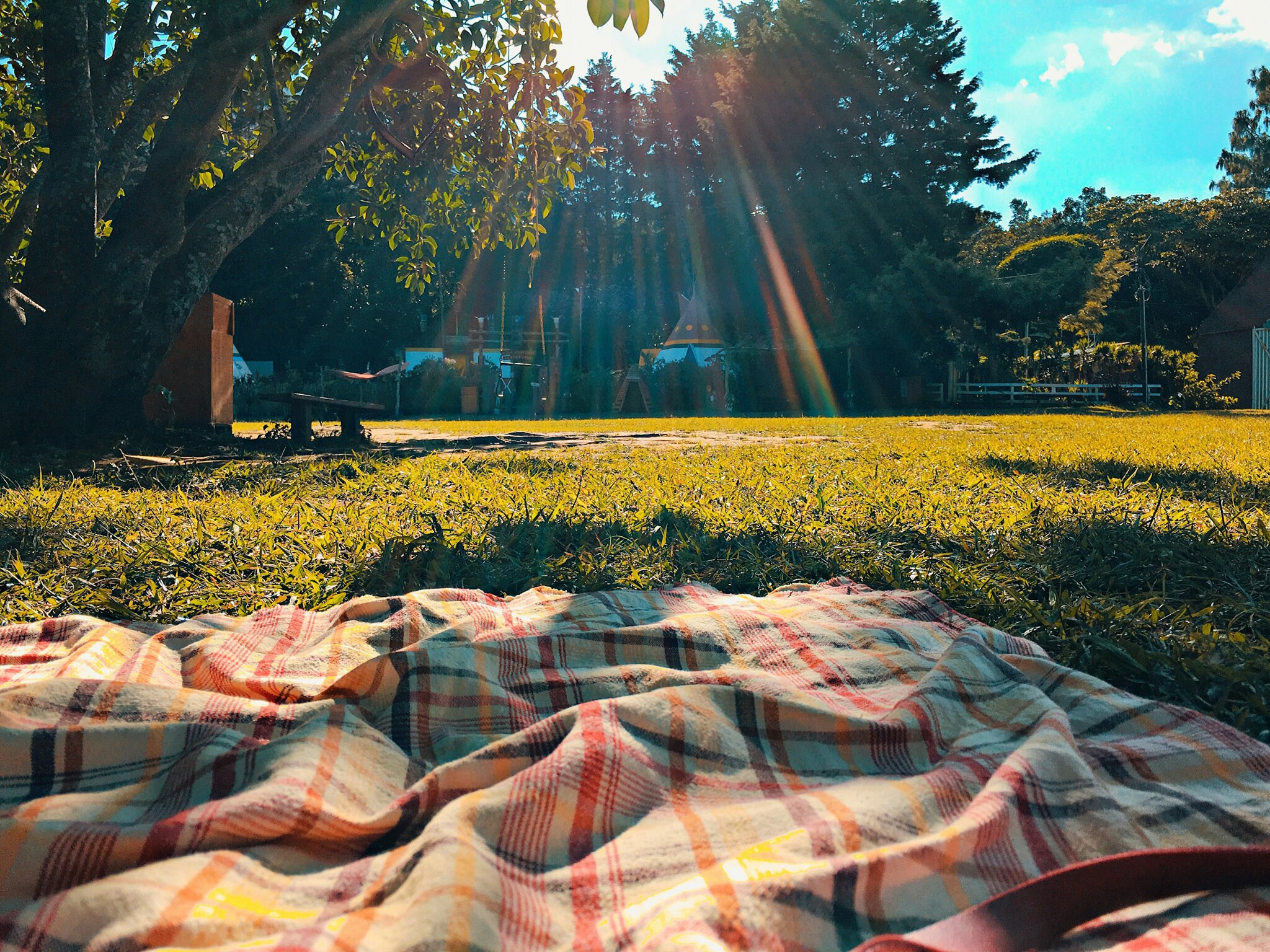 Image of Summer Picnic