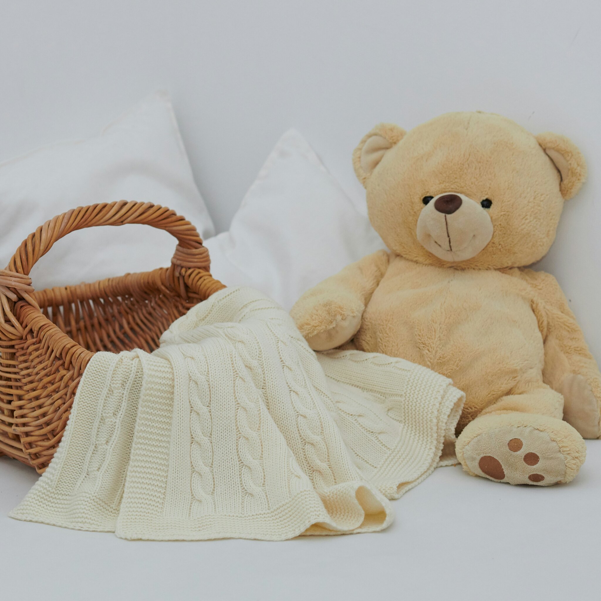 Image of New Year R Teddy Bear Picnic - TBC