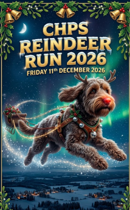 Image of Reindeer Run 2026
