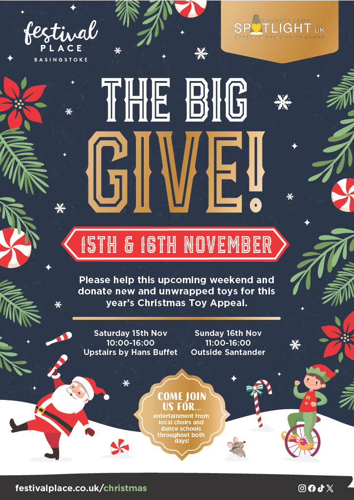 Image of Festival Place - The BIG Give