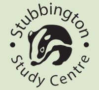 Image of Stubbington Reports written by Amelia W & Toby O