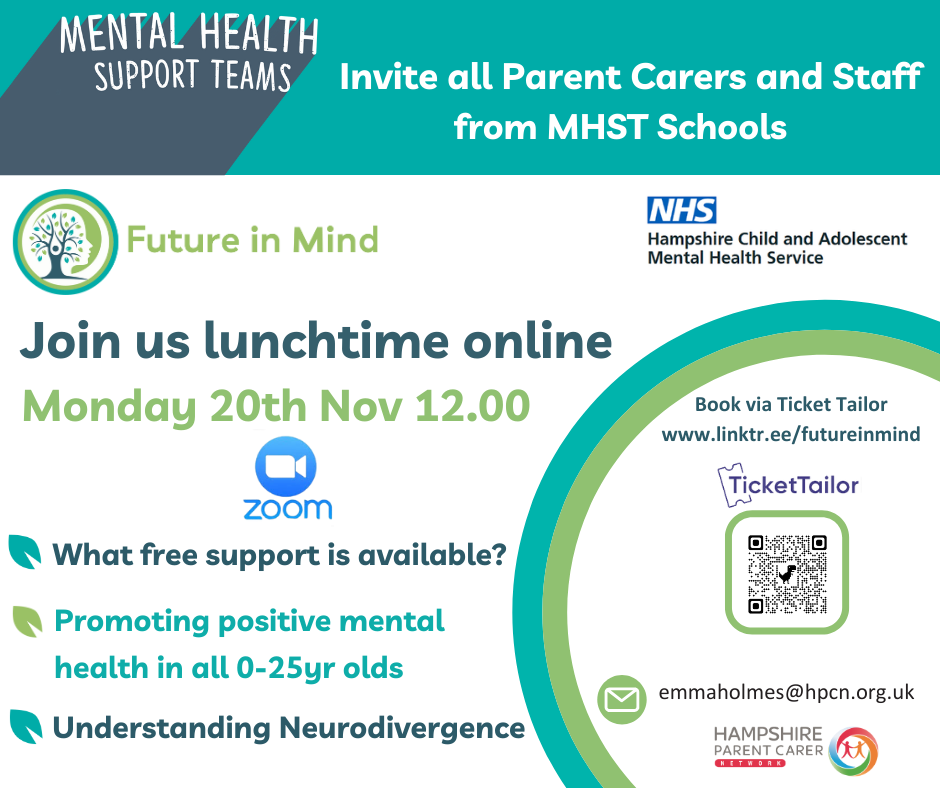Image of Free Online MHST Support Session