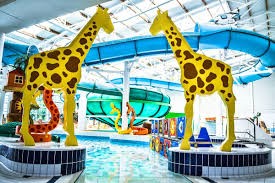 Image of Wave Rave Party for Year 6s!