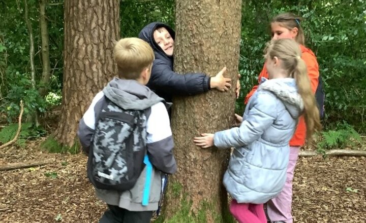 Image of Y3/4 – Brockhole on Windermere