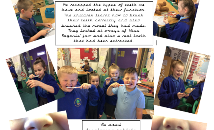 Image of Year 4 - Teeth experiment