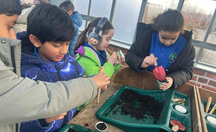 Image of Year 3 Explore Plants, Wildlife, and the Wonders of Nature!