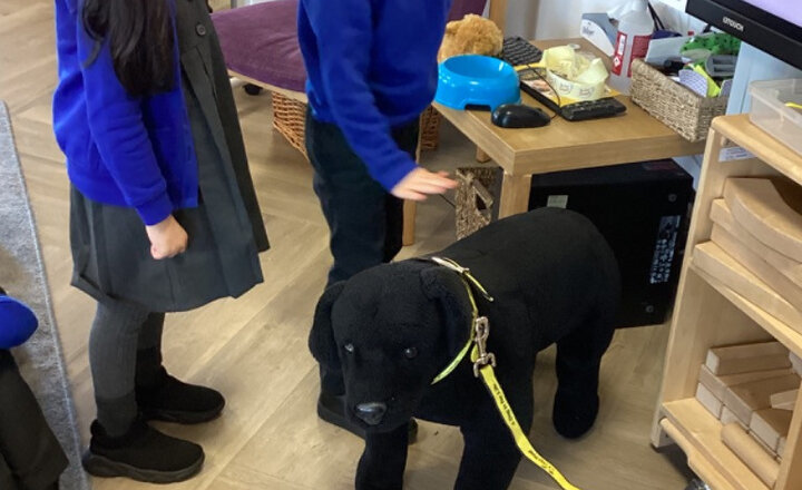 Image of EYFS Dog Safety Visit 