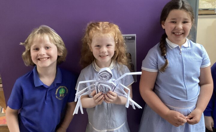 Image of Spiders Take Over Class 4!