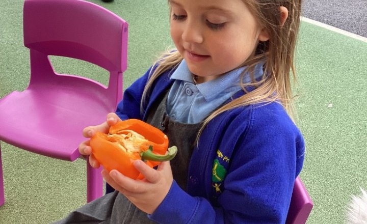 Image of EYFS Exploring Seeds!