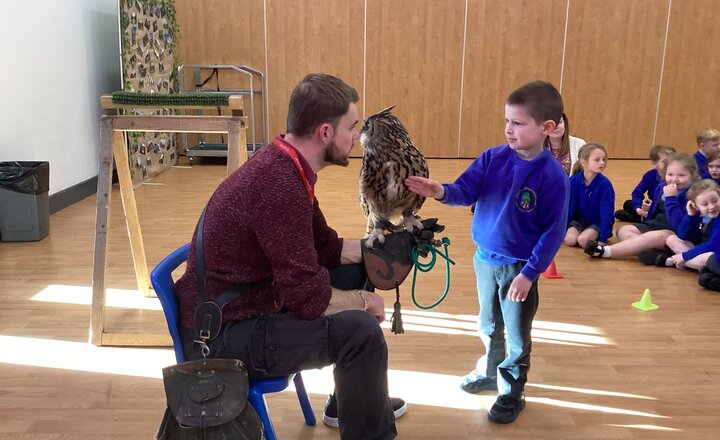 Image of When Owls Came to Chapelford...