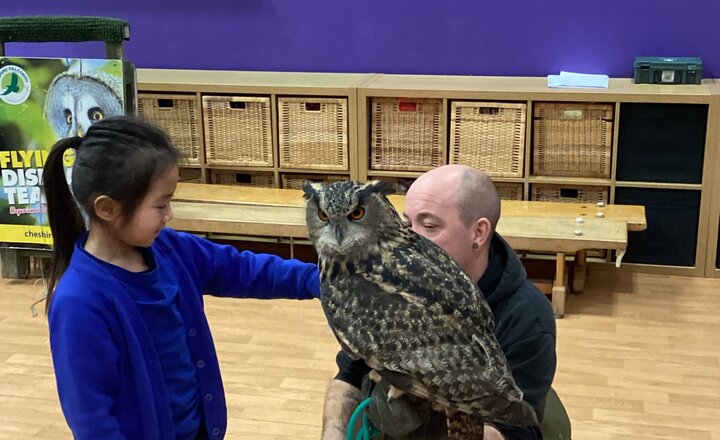 Image of Year 2 Take Flight With Their Owl Learning!