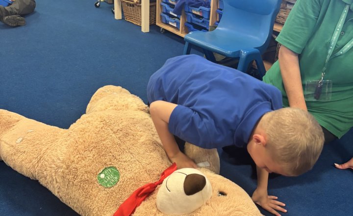 Image of Mini First Aid: Developing Important Life Skills