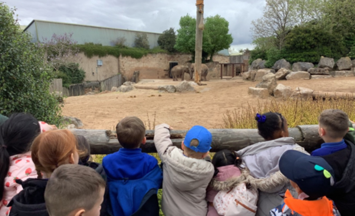 Image of EYFS visit to Chester Zoo