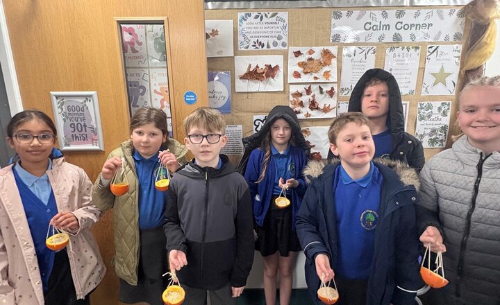 Image of Discovering Plants, Wildlife, and Eco Heroes at Chapelford