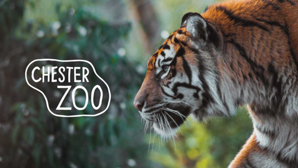 Image of EYFS Chester Zoo Trip