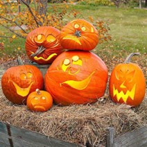 Image of Pumpkin Competition