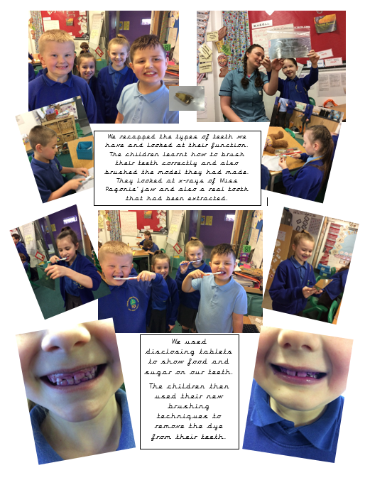 Image of Year 4 - Teeth experiment