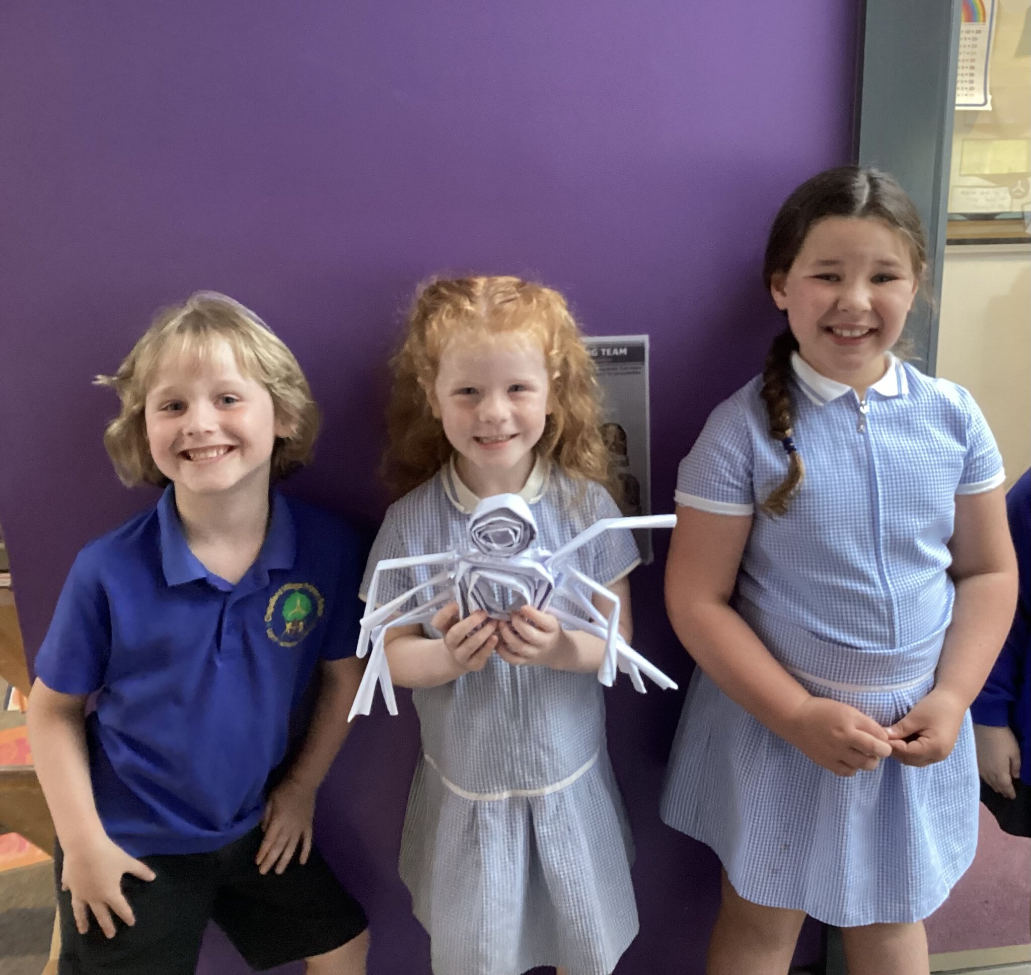 Image of Spiders Take Over Class 4!