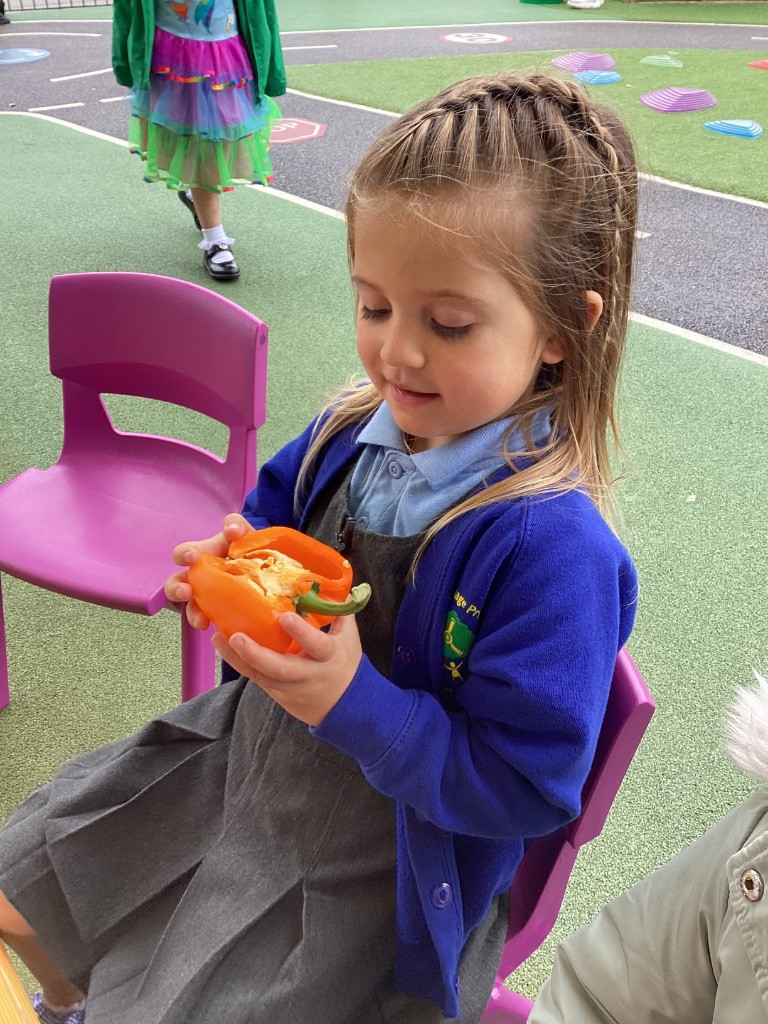 Image of EYFS Exploring Seeds!