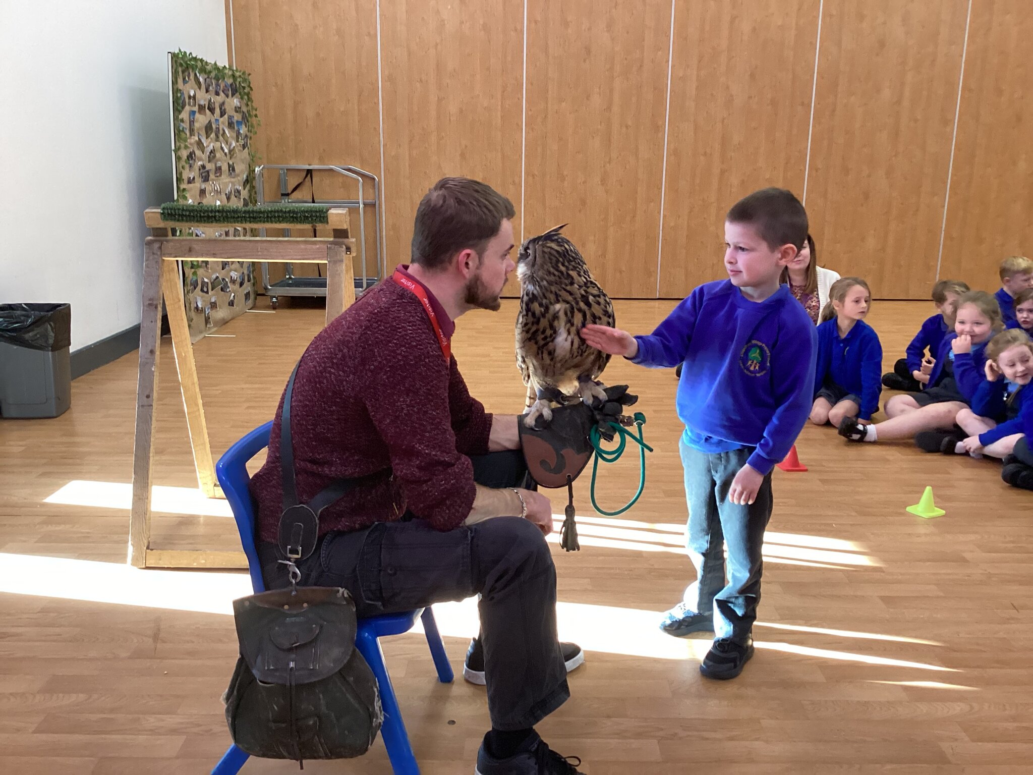 Image of When Owls Came to Chapelford...