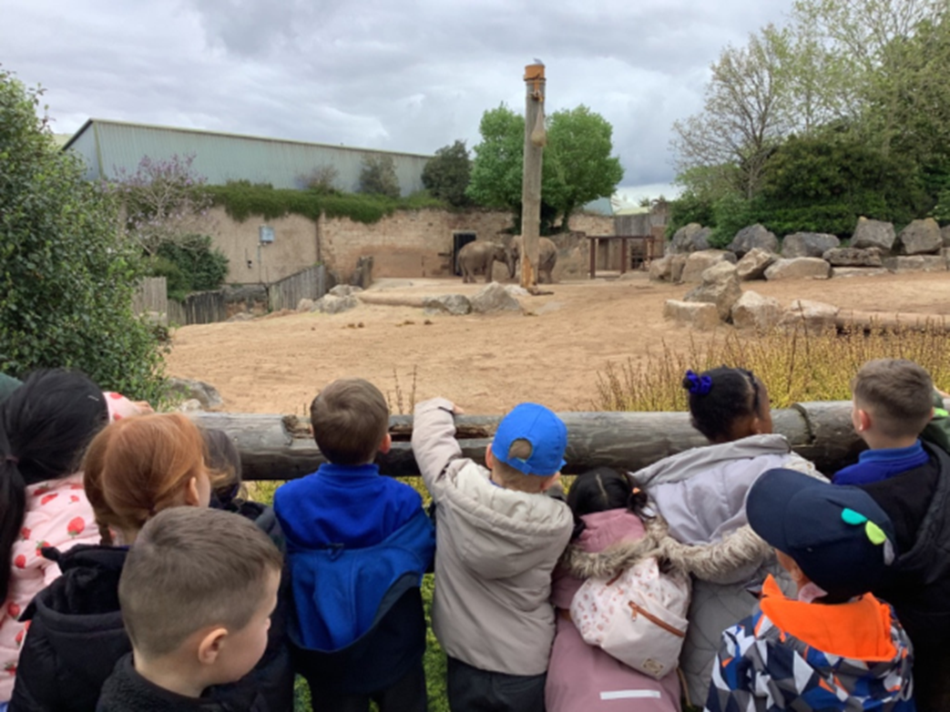 Image of EYFS visit to Chester Zoo