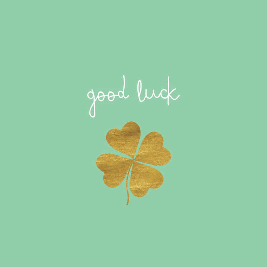 Image of A message to Year 6