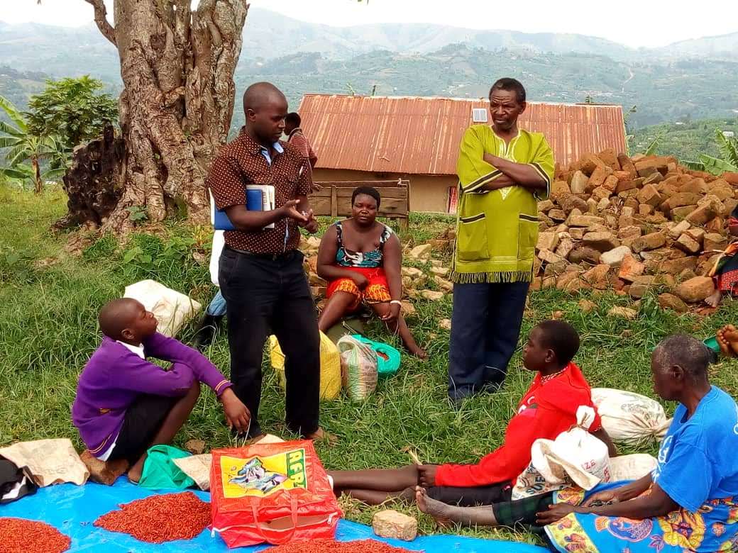 Image of Well done Project team - A busy chilli harvest in Mabanga today. 