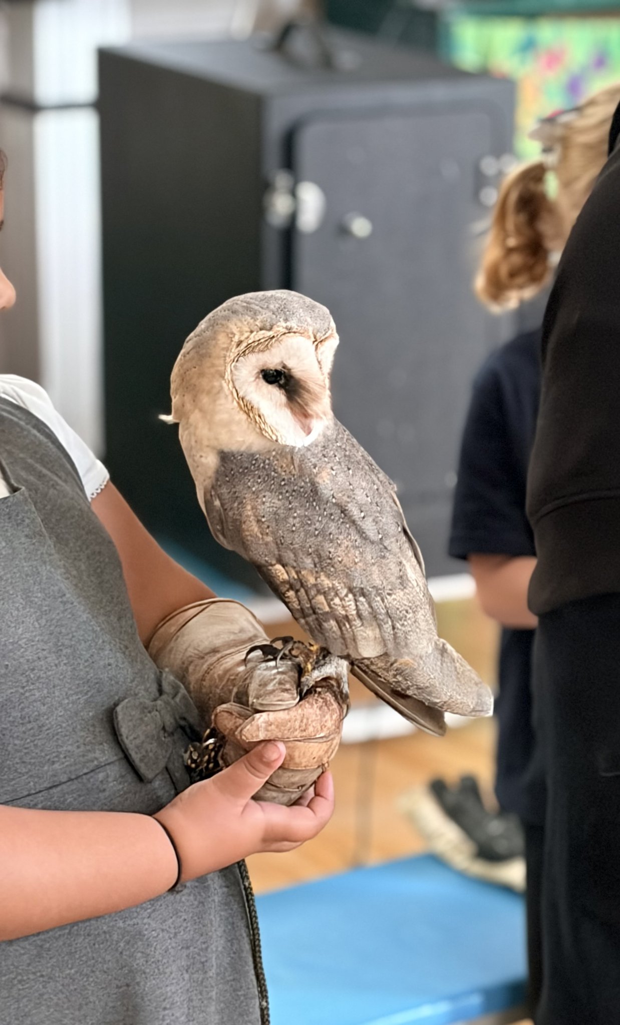 Image of Owl visit
