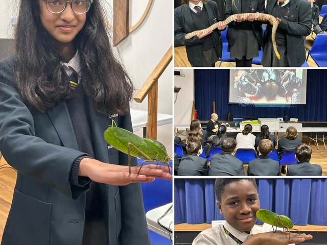 A collection of students hold a leaf insect and snake, as well as watching a presentation