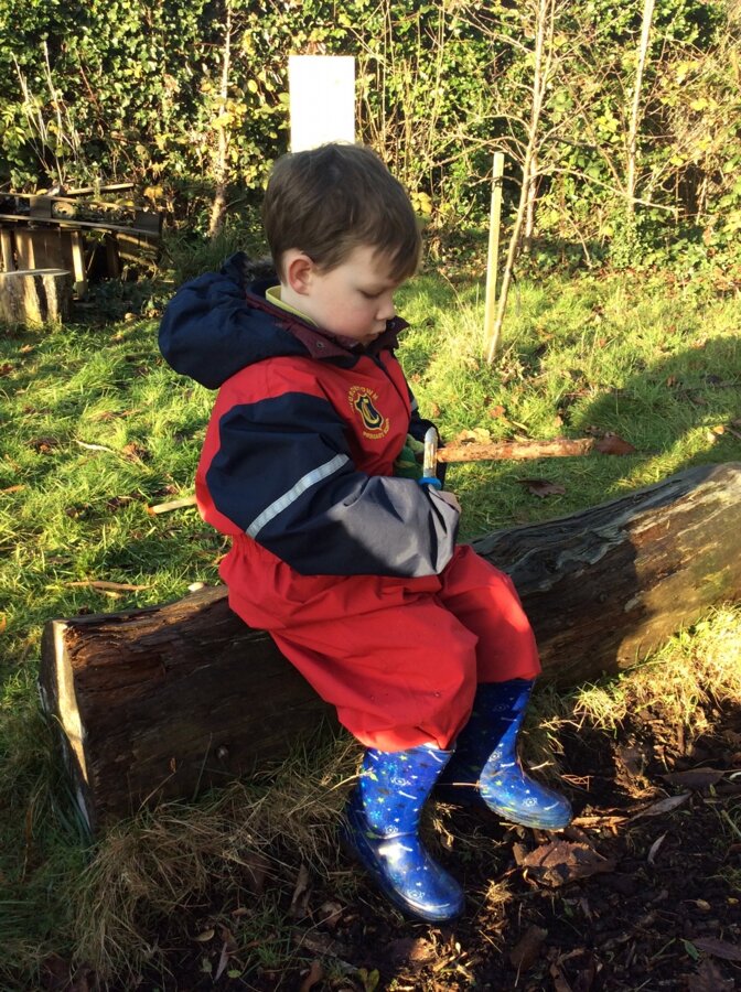 Forest School Photos | Churchtown Primary School