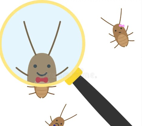 Image of Early Years - Minibeast excursion