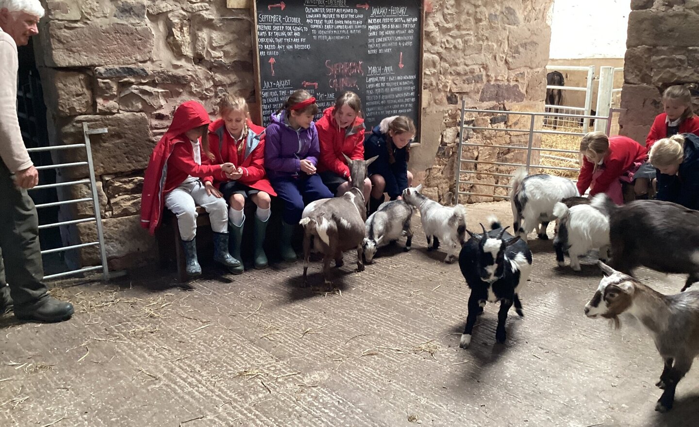 Image of Some sparkle and chocolate to make you twinkle!