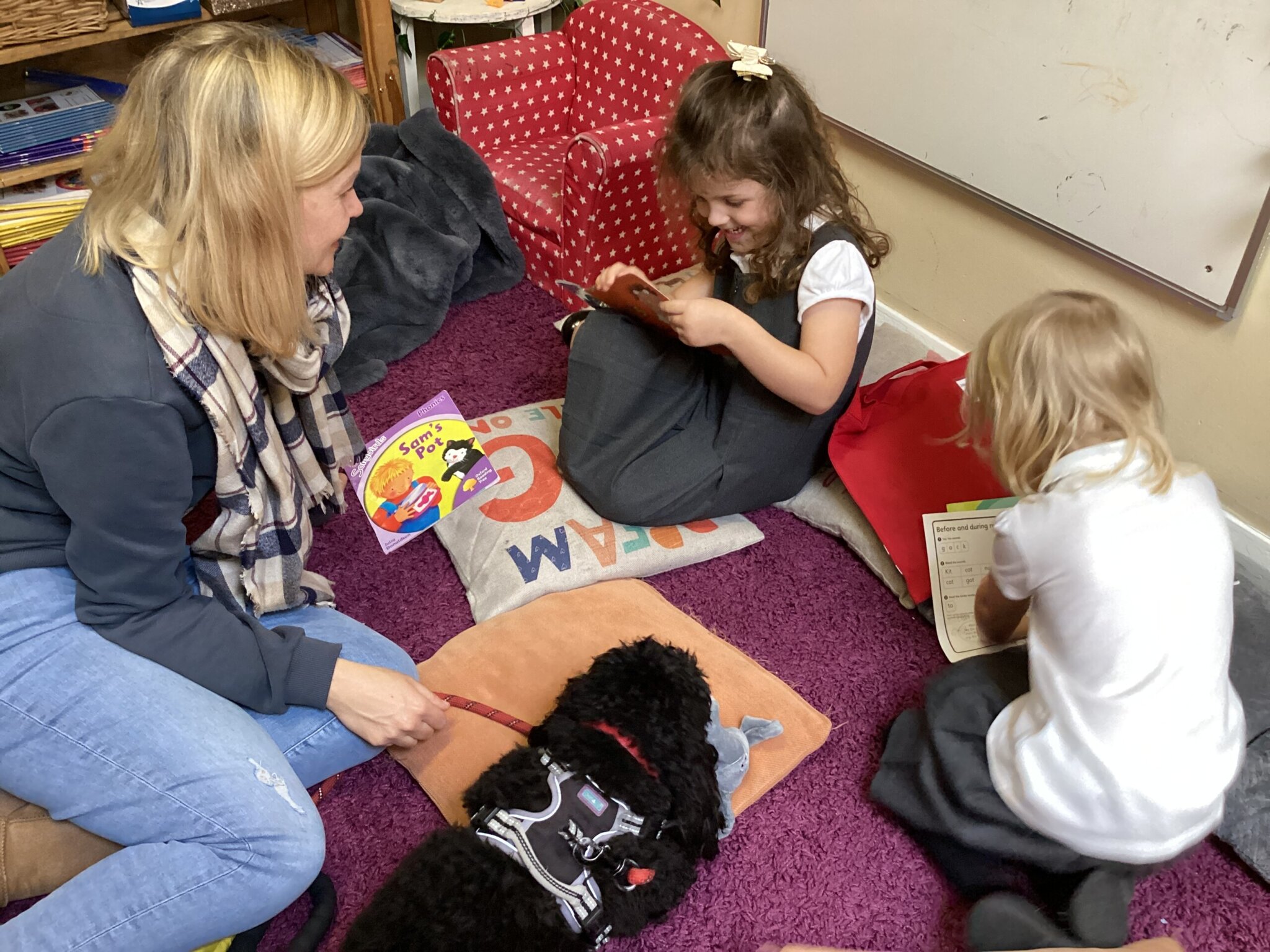 Image of Reading dogs…and snuggle up sacks!