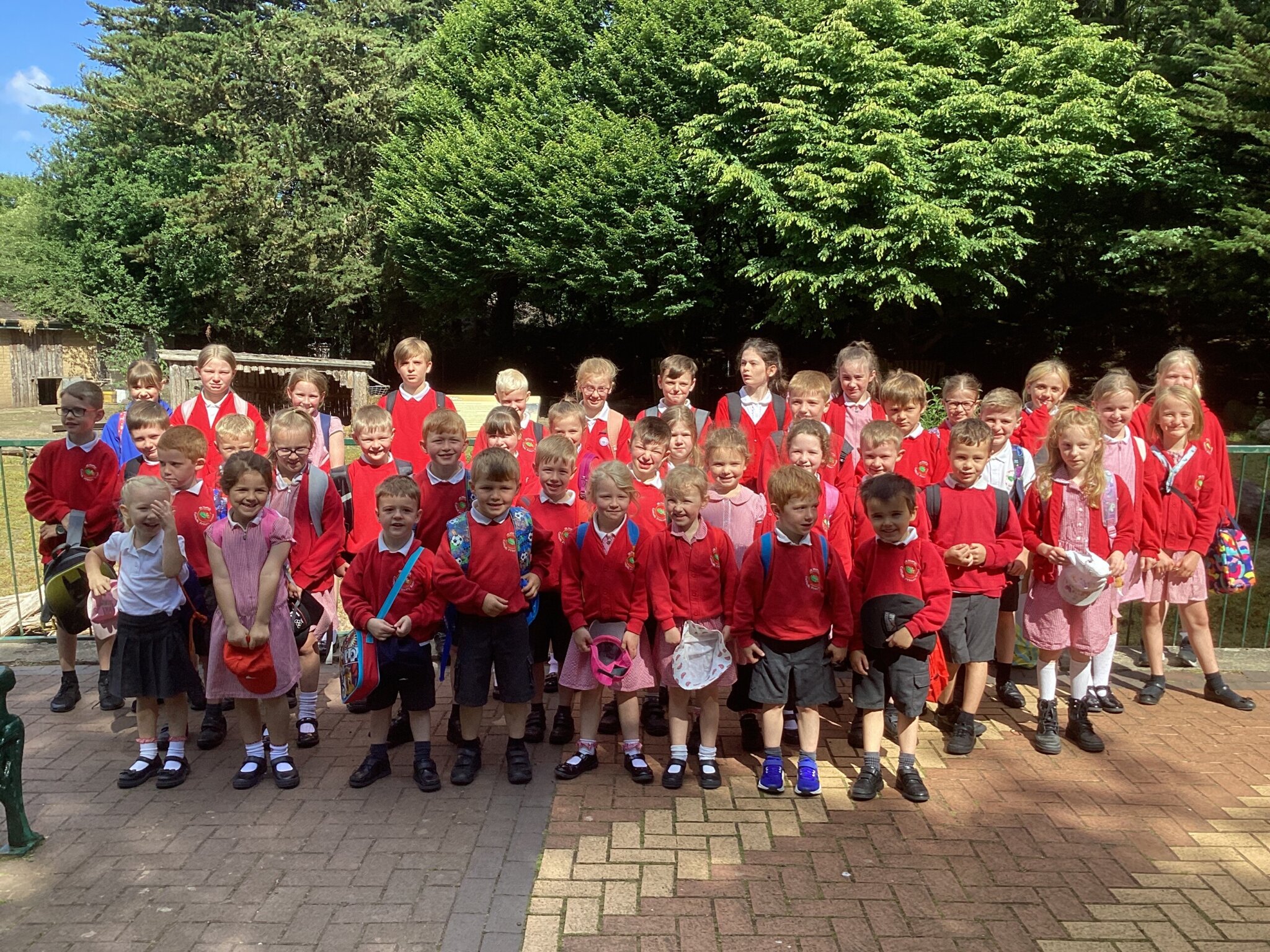 Image of Pirates, trips, music, art and butterflies!