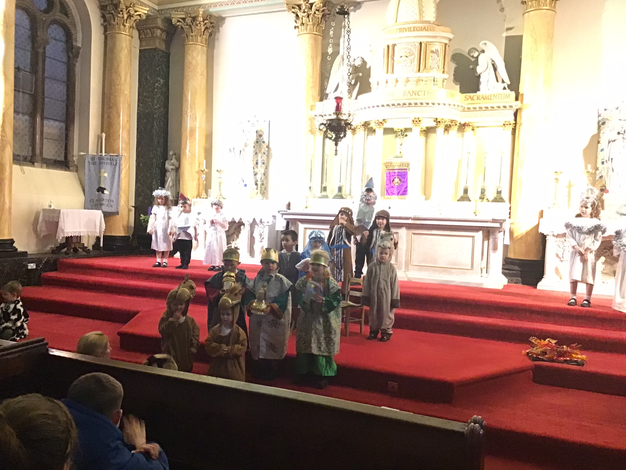 Image of Shining Stars…