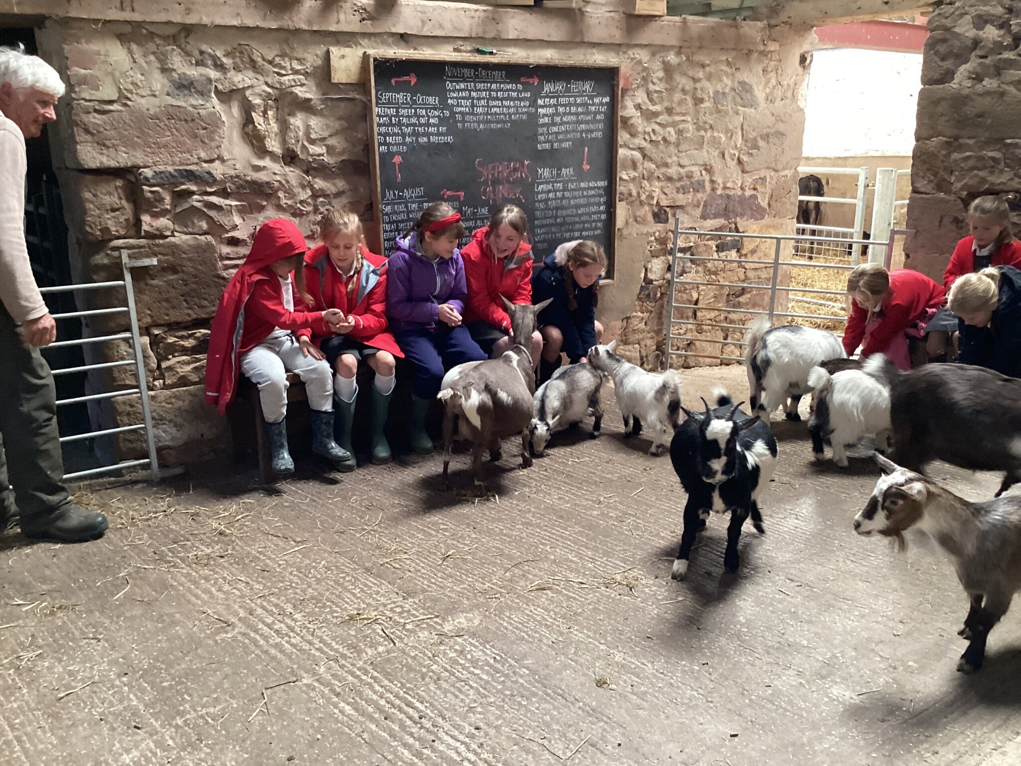 Image of Some sparkle and chocolate to make you twinkle!