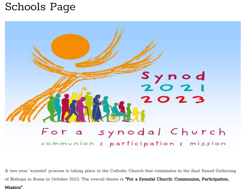 Image of SYNOD SURVEY & INFORMATION
