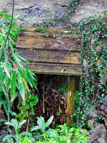 Insect Hotel