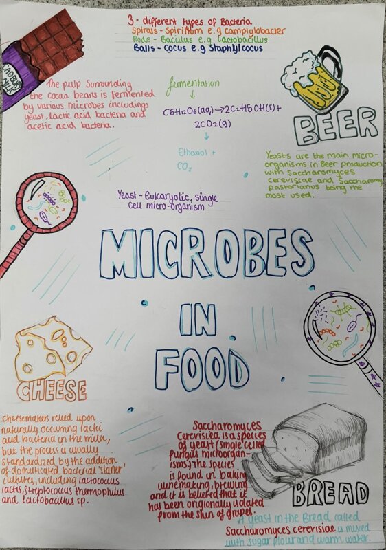 Image of Microbes Ate Year 8's Lunch!