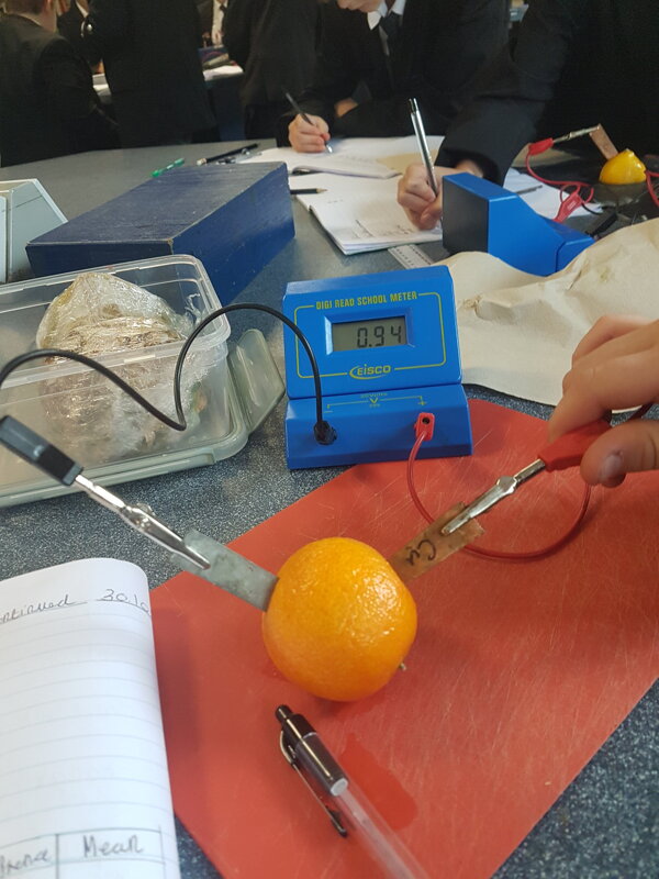 Image of Year 7 Scientists Investigate Fruit Power!