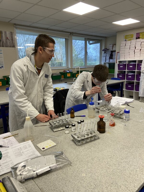 Image of Conclusion of A Level Chemistry Practicals