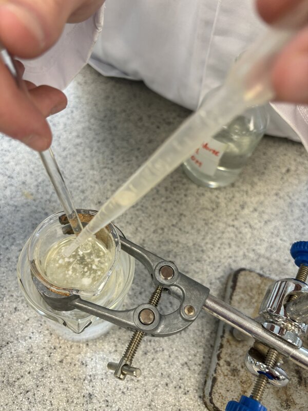 Image of Year 12 Chemists Learn More About Aspirin