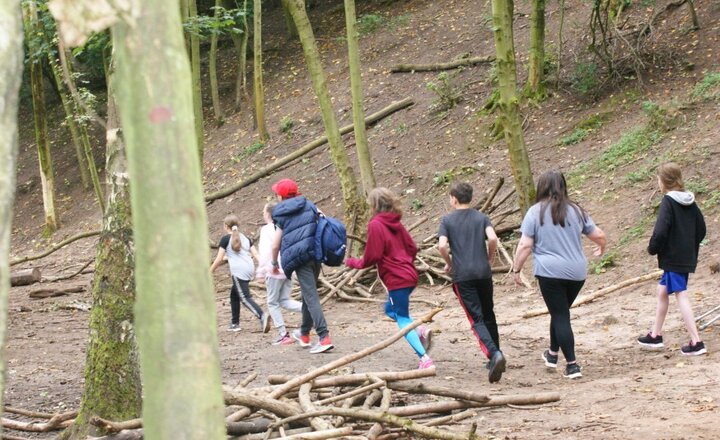 Image of Year 7 Build Teams, Friendships and Shelters at Astbury Mere