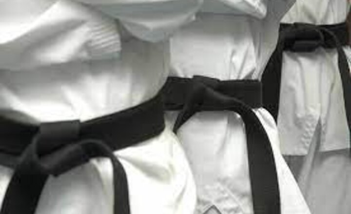 Image of Black Belt for Faye 