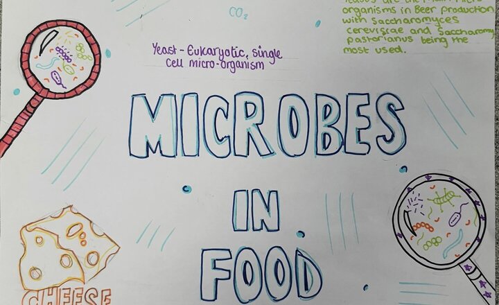 Image of Microbes Ate Year 8's Lunch!