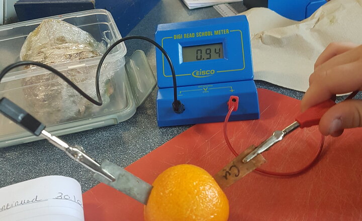 Image of Year 7 Scientists Investigate Fruit Power!