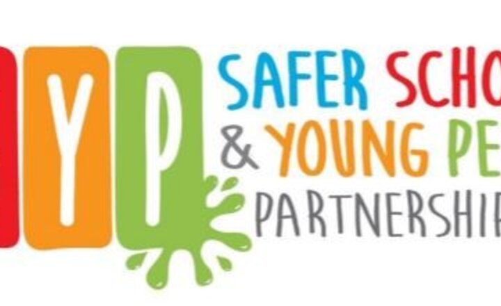 Image of SSYP Online Safety Information Newsletter