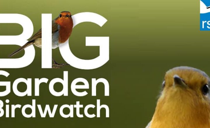 Image of Students Help the RSPB Count Birds