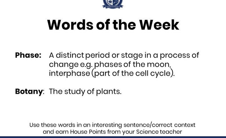 Image of Science Words of the Week